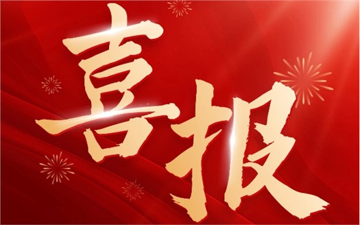 集团荣膺2025中国民营企业500强第249位，制造业民营企业500强第177位，排名较去年双双大幅提升